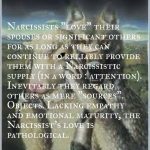 The Narcissist considers Family and Loved Interests Narcissistic Supply